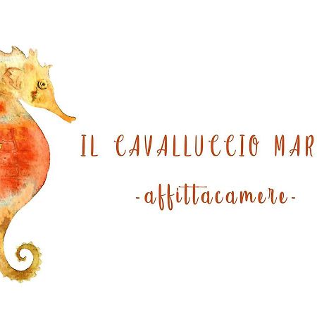 Il Cavalluccio Marino 마나롤라 외부 사진