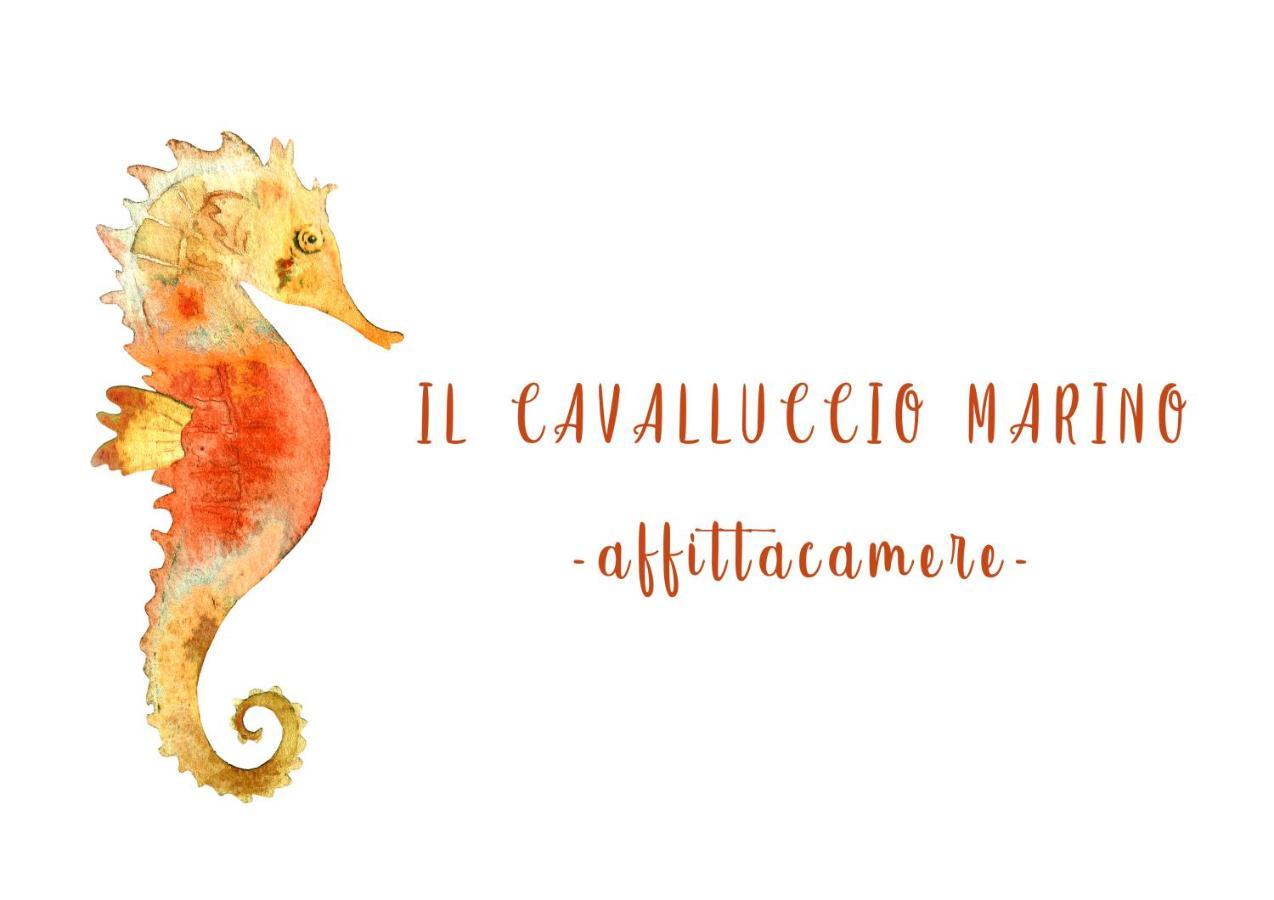 Il Cavalluccio Marino 마나롤라 외부 사진
